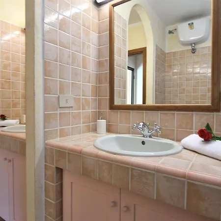 Apartment Nicchio Gaiole in Chianti