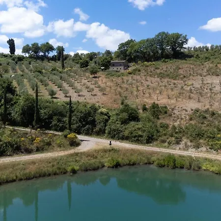 Nicchio